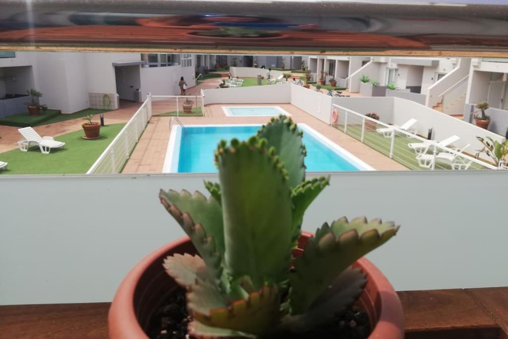 Blue Ocean Corralejo: Sunny Terrace, Pool, Wifiアパートメント エクステリア 写真